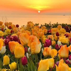 Meet your Posher, Wen